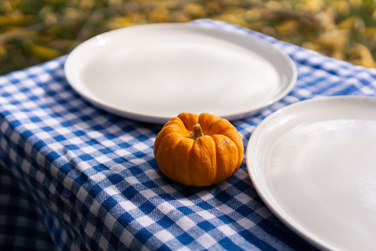 A simple autumn table setting with modest decoration