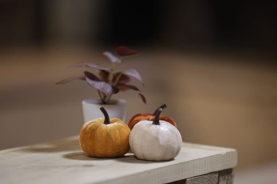 Decorative pumpkins grouped on a surface